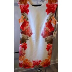 Calvin Klein Floral Print Dress, Size 10